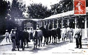TIARET - JUMENTERIE CHAOUA-CHAOUA - 1913